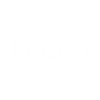 Braziwi Logo